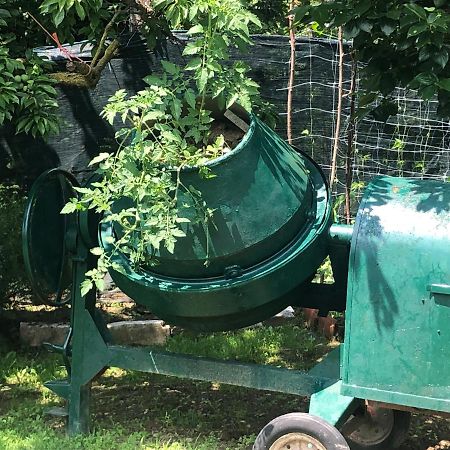 Un Bell Incontro Leilighet Borgo Ticino Eksteriør bilde