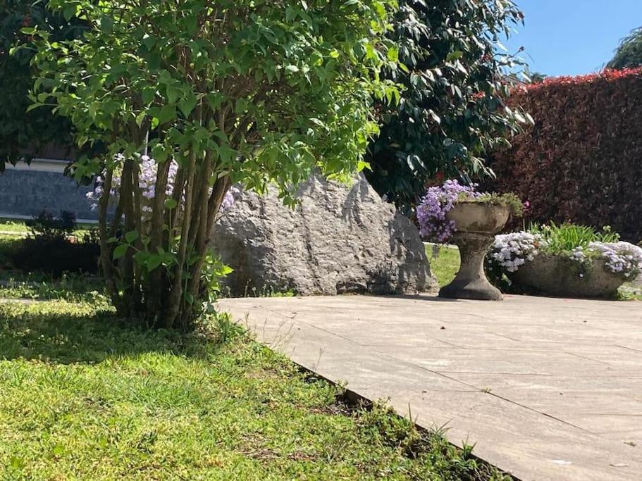 Un Bell Incontro Leilighet Borgo Ticino Eksteriør bilde