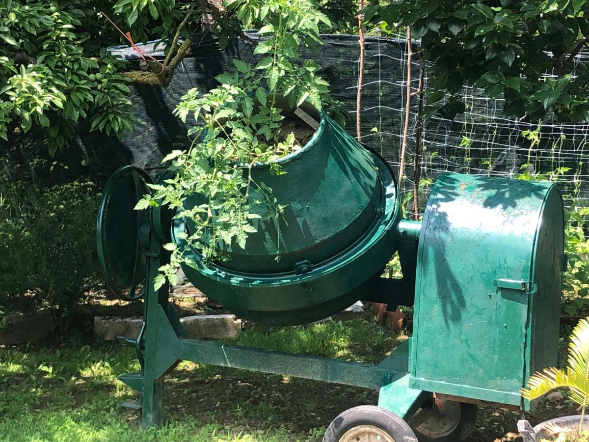 Un Bell Incontro Leilighet Borgo Ticino Eksteriør bilde
